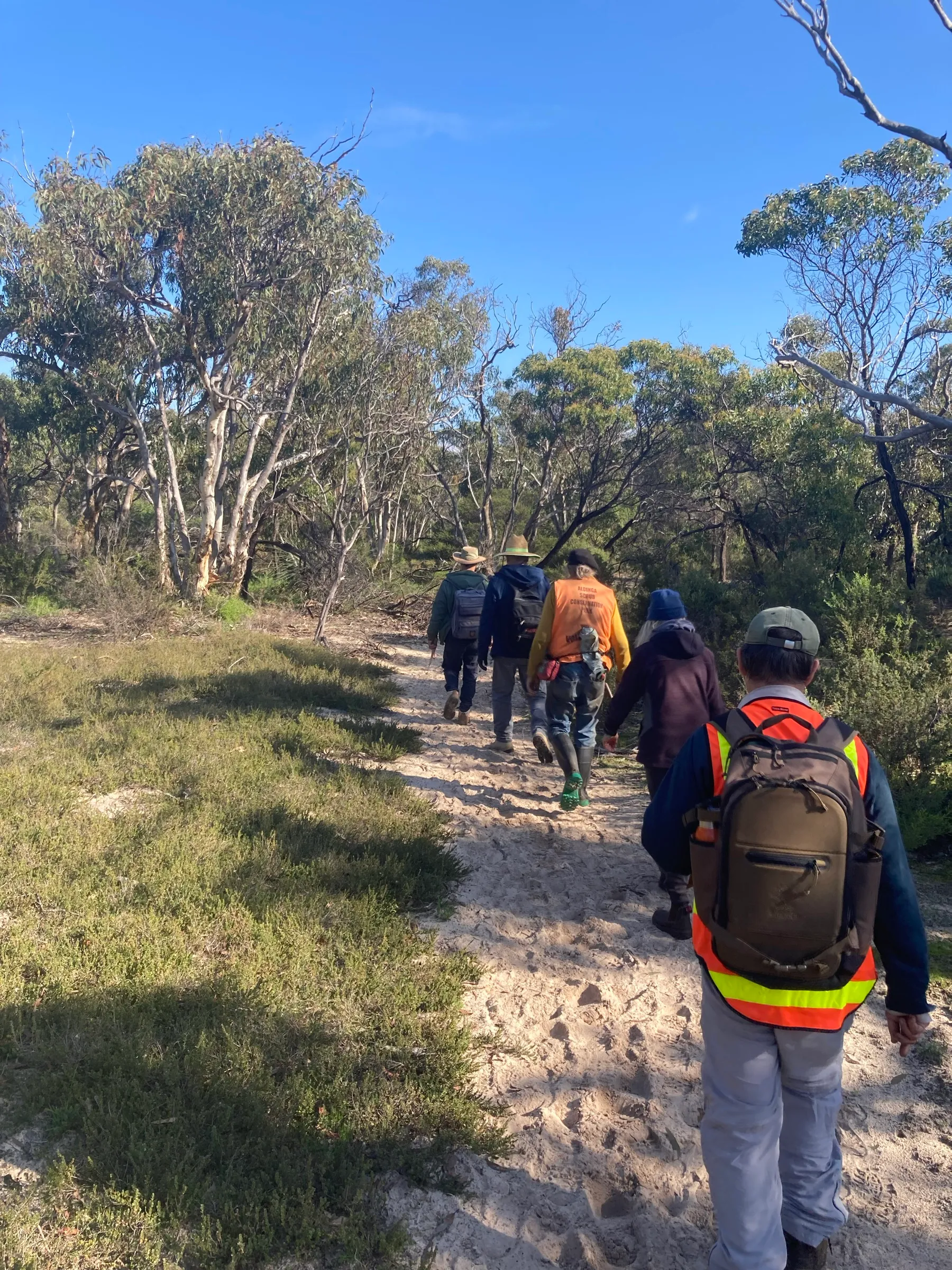 A TPAG project site in native bushland